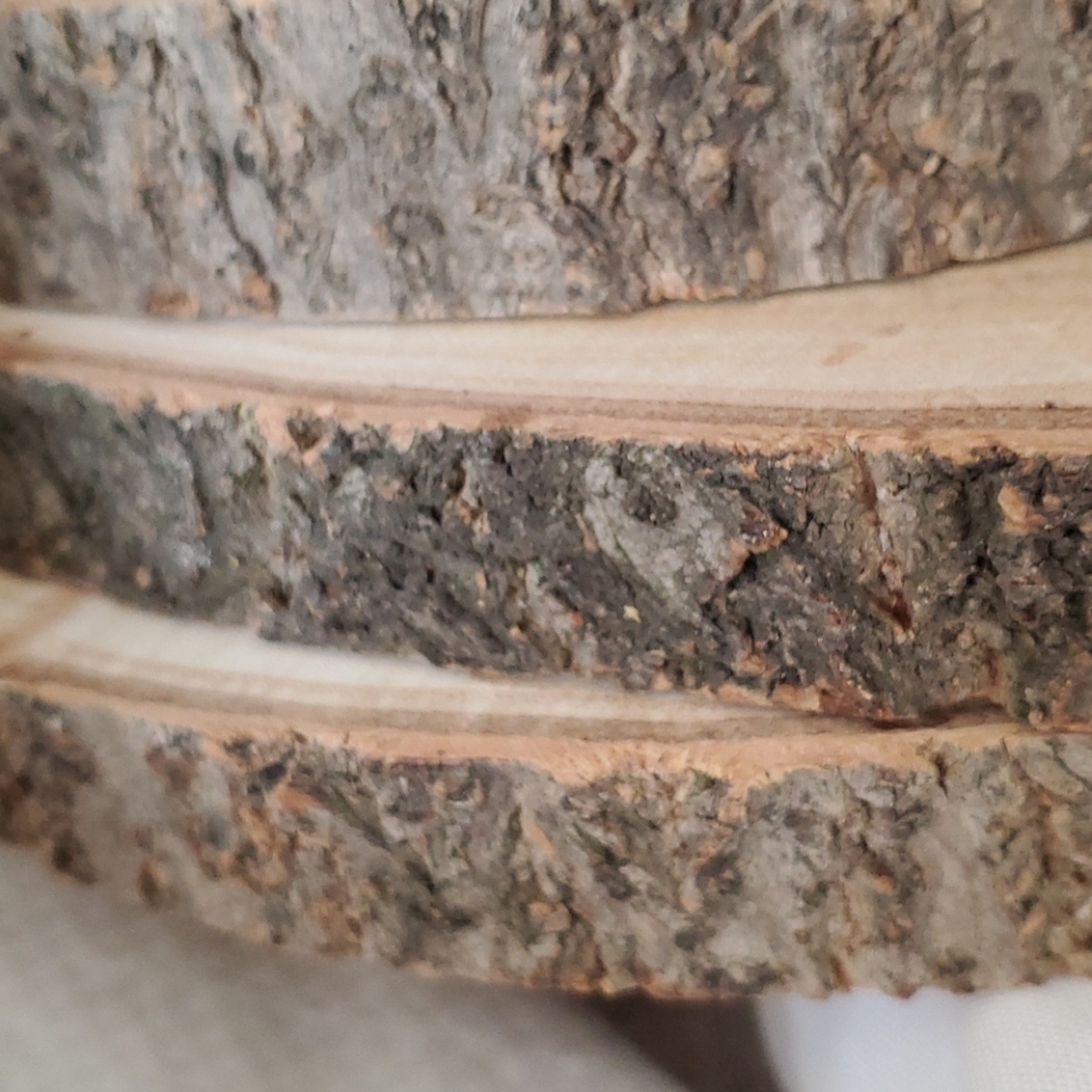 Log Rounds - Picture 5 of 5